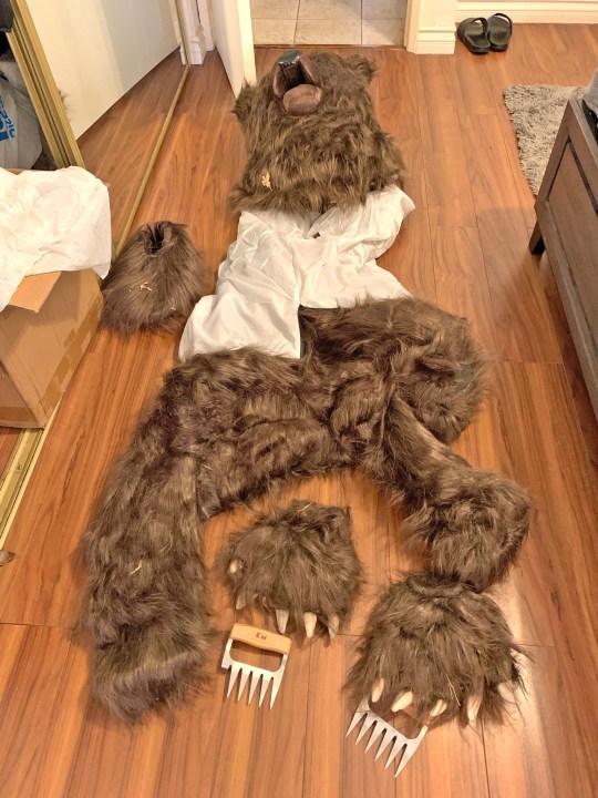 California Department of Insurance says investigators found a bear costume at the home of a suspect who claimed their vehicle was attacked by a bear in January 2024.